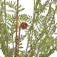 Large Tall Black Potted Fern - Thumb 2