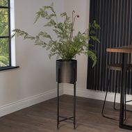 Large Tall Black Potted Fern - Thumb 4