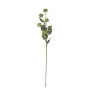 Thistle Globe Stem - Thumb 4