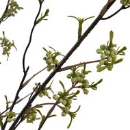 Green Berry Willow Stem - Thumb 6