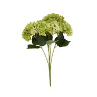 Green Hydrangea Bunch - Thumb 4