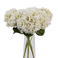 White Hydrangea Bunch - Thumb 5