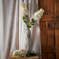 White  Spear Hydrangea - Thumb 3