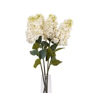 White  Spear Hydrangea - Thumb 5