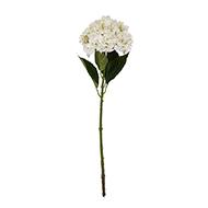 White Hydrangea Stem - Thumb 2