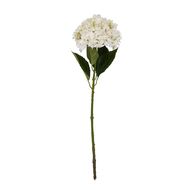 White Hydrangea Stem - Thumb 4