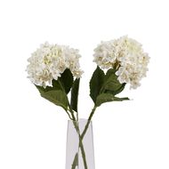 White Hydrangea Stem - Thumb 5