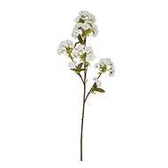 Tall White Blossom - Thumb 2