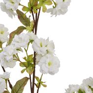 Tall White Blossom - Thumb 6