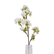 Tall White Blossom - Thumb 1