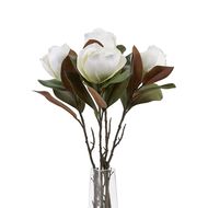 White Magnolia Stem - Thumb 5