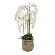 Large White Orchid In Antique Stone Pot - Thumb 1