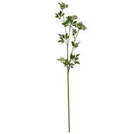 Faux White Cow Parsley Ammi - Thumb 4