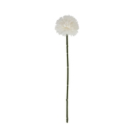 White Chrysanthemum Stem - Thumb 4