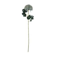 Pale Green Blue Chrysanthemum - Thumb 4