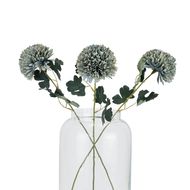 Pale Green Blue Chrysanthemum - Thumb 5
