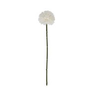 White Short Chrysanthemum - Thumb 4