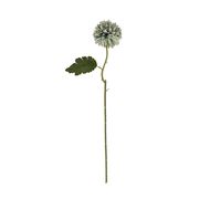 Pale Green Blue Short Chrysanthemum - Thumb 4