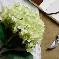 Oversized Green Hydrangea - Thumb 2