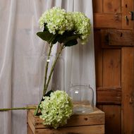 Oversized Green Hydrangea - Thumb 3