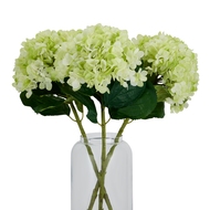 Oversized Green Hydrangea - Thumb 7