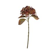 Mixed Autumn Browns Single Hydrangea Stem - Thumb 4