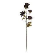 Tall Black Poppy Stem - Thumb 4