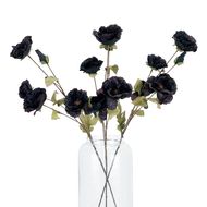 Tall Black Poppy Stem - Thumb 5