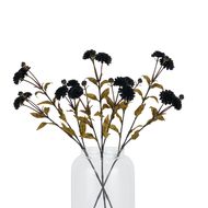Black Chrysanthemum Stem - Thumb 5