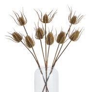 Large Brown Triple Teasle Stem - Thumb 5