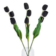 Tall Black Triple Tulip Stem - Thumb 5
