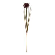 Burgundy Aster Spider Chrysanthemum Stem - Thumb 4