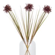 Burgundy Aster Spider Chrysanthemum Stem - Thumb 5