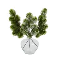 Frosted Pine Single Stem - Thumb 5