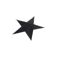 Matt Black Convexed Large Star - Thumb 1