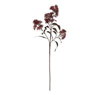 Medium Burgundy Smokebush Stem - Thumb 3