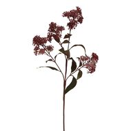 Medium Burgundy Smokebush Stem - Thumb 1