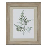 Watercolour Bracken Fern In Washed Wood Frame - Thumb 1