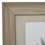 Watercolour Fern Duo In Washed Wood Frame - Thumb 2
