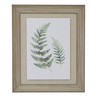 Watercolour Fern Duo In Washed Wood Frame - Thumb 1