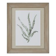 Watercolour Delicate Fern In Washed Wood Frame - Thumb 1