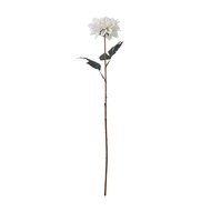 The Natural Garden Collection Tall White Dahlia - Thumb 1