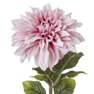 The Natural Garden Collection Pink Dahlia - Thumb 5