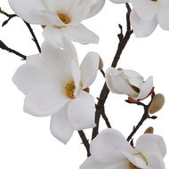 The Natural Garden Collection White Magnolia Stem - Thumb 2