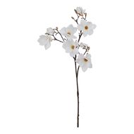 The Natural Garden Collection White Magnolia Stem - Thumb 1