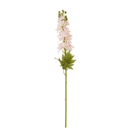 The Natural Garden Collection Pink Elatum Delphinium - Thumb 1