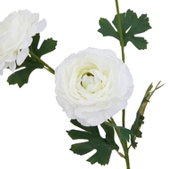 The Natural Garden Collection White Ranunculus - Thumb 4