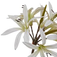 The Natural Garden Collection White Nerine Lily Stem - Thumb 2