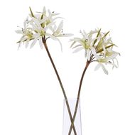 The Natural Garden Collection White Nerine Lily Stem - Thumb 3