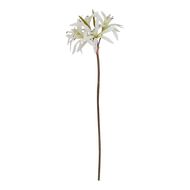 The Natural Garden Collection White Nerine Lily Stem - Thumb 1